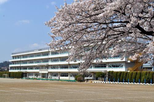 飯能市立富士見小学校 1285m 【周辺環境】小学校