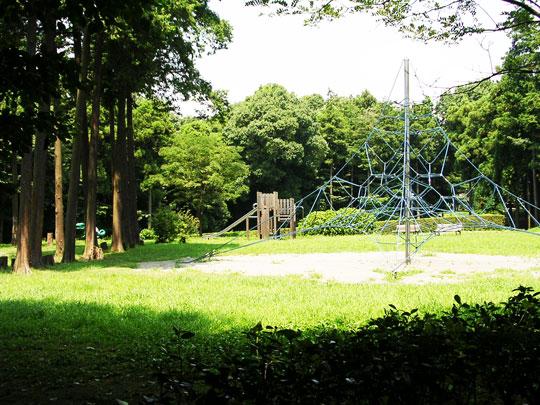 芹沢公園1052m 【周辺環境】公園