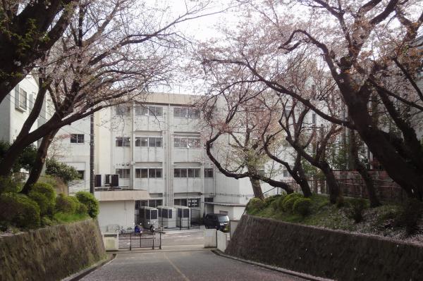 藤沢市立大越小学校672m 【周辺環境】小学校