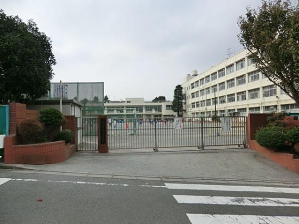 横浜市立中沢小学校780ｍ 【周辺環境】小学校