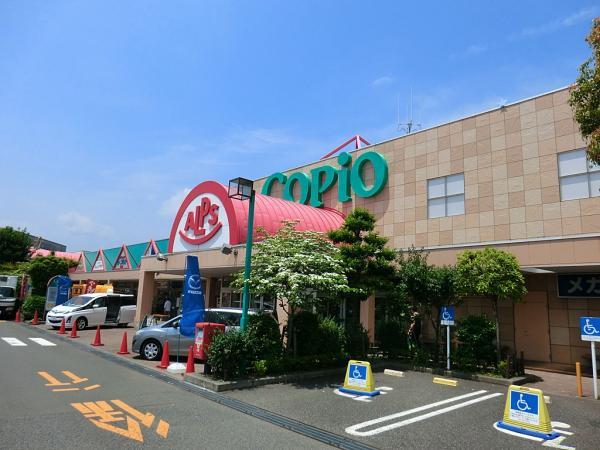 【コピオ愛川】まで8280ｍ　駐車場がとても広くて、300台ぐらいは優に停められます。カー用品店や書店などがあり、一度に色んな買い物が出来ます。.jpg 【周辺環境】ショッピングセンター