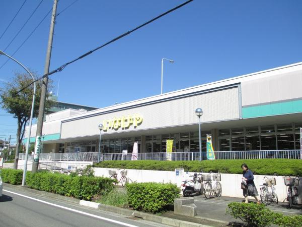 いなげや 横浜西が岡店	1115m 【周辺環境】スーパー