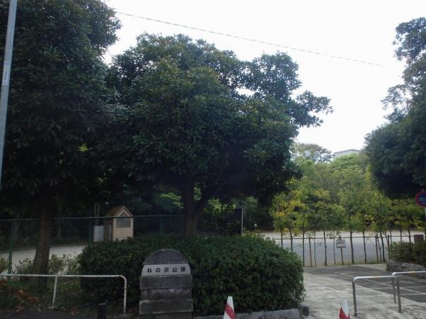 子の澤公園まで213m 【周辺環境】公園