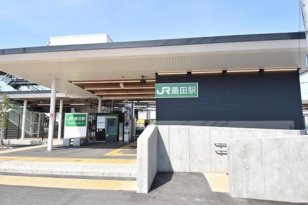 JR相模線「番田」駅 【周辺環境】駅