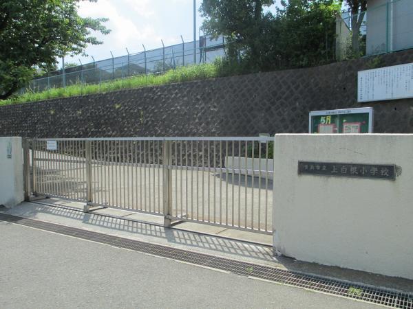 横浜市立上白根小学校476m 【周辺環境】小学校