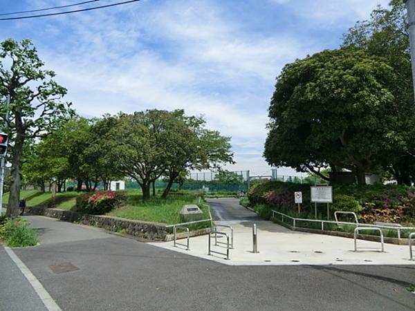 洋光台南公園240ｍ 【周辺環境】公園