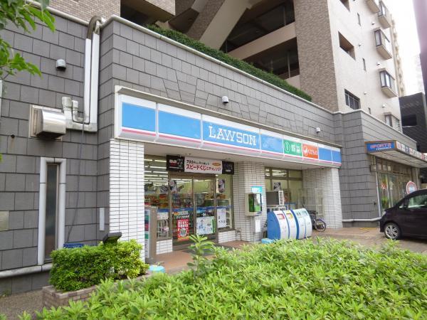 ローソン　所沢元町店 75m 【周辺環境】コンビニ