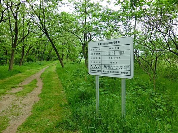 多摩川緑地公園まで約380m 【周辺環境】公園