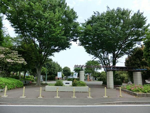 橋戸東公園 290ｍ 【周辺環境】公園