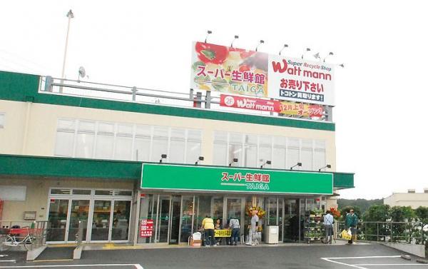 スーパー生鮮館TAIGA(タイガ) 藤沢石川店779ｍ 【周辺環境】スーパー