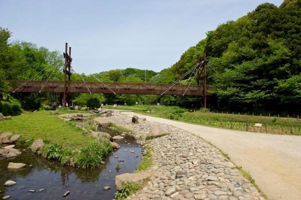 泉の森953m 【周辺環境】公園