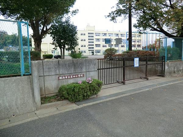 横浜市立荏田小学校30ｍ 【周辺環境】小学校