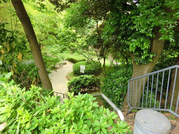 六ツ川中央公園 680ｍ 【周辺環境】公園