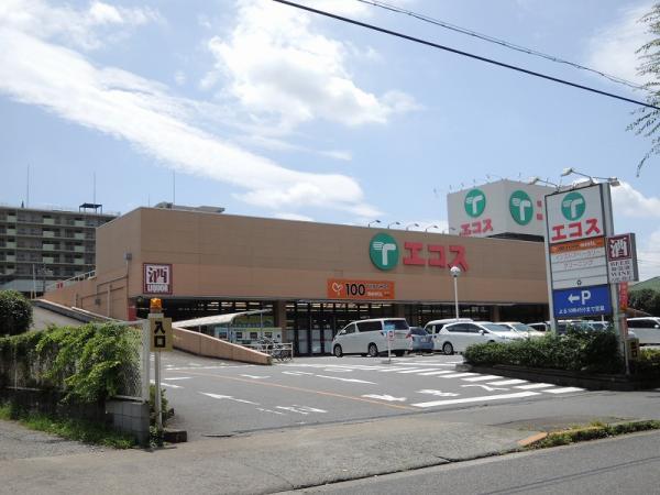 TAIRAYA東浅川店迄320ｍ 【周辺環境】スーパー