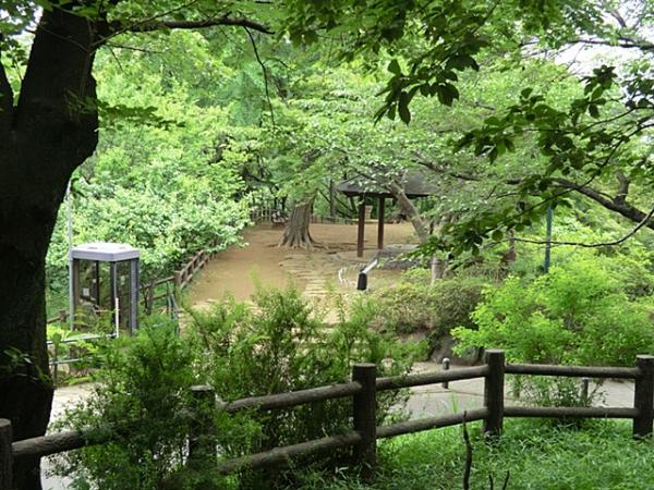 大倉山公園550ｍ 【周辺環境】公園