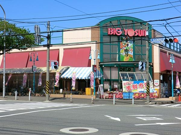 ビッグヨーサン十日市場店1600ｍ 【周辺環境】スーパー