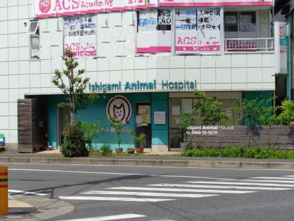 いしがみ動物病院 【周辺環境】病院