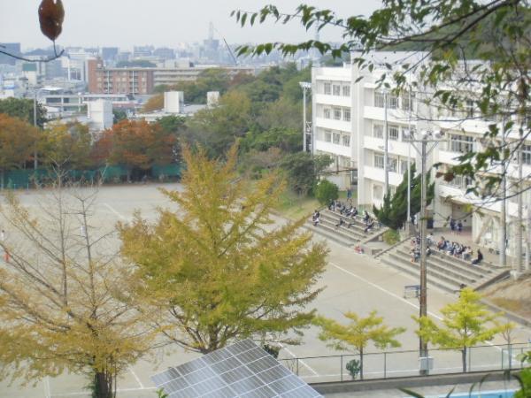 深沢中学校 【周辺環境】中学校
