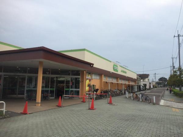 コープ　小川西町店 349m 【周辺環境】スーパー