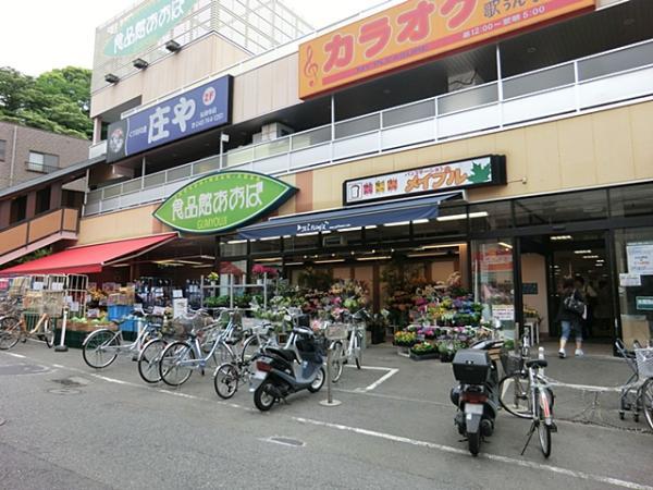 食品館あおば弘明寺店570ｍ 【周辺環境】スーパー