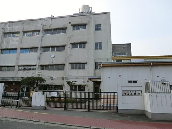横浜市立桂台小学校500ｍ 【周辺環境】小学校