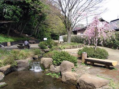 【亀島自然公園】400ｍ　住宅地の中にある公園で、園内には、小川が流れていたり、池（湧水池）があったり、林の斜面に遊歩道が作られていたりと自然を生かした公園になっています。 【周辺環境】公園