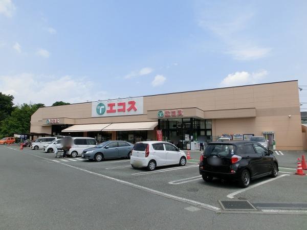 エコスTAIRAYA 川口店まで850ｍ 【周辺環境】スーパー