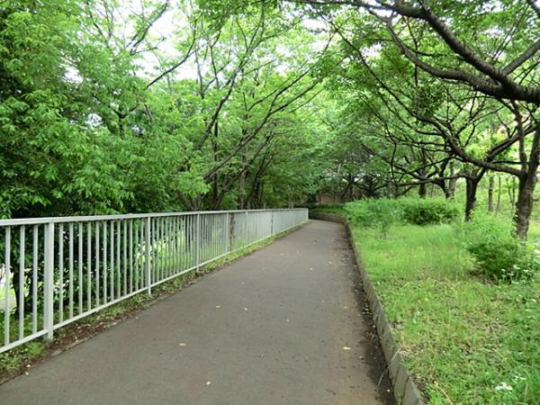 若葉台公園150ｍ 【周辺環境】公園