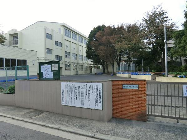 横浜市立東台小学校300ｍ 【周辺環境】小学校