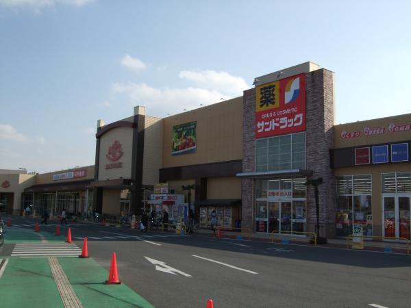 スーパーアルプス　入間下藤沢店 799m 【周辺環境】スーパー