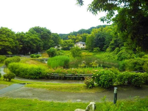 由木めぐみ野公園まで240ｍ 【周辺環境】公園